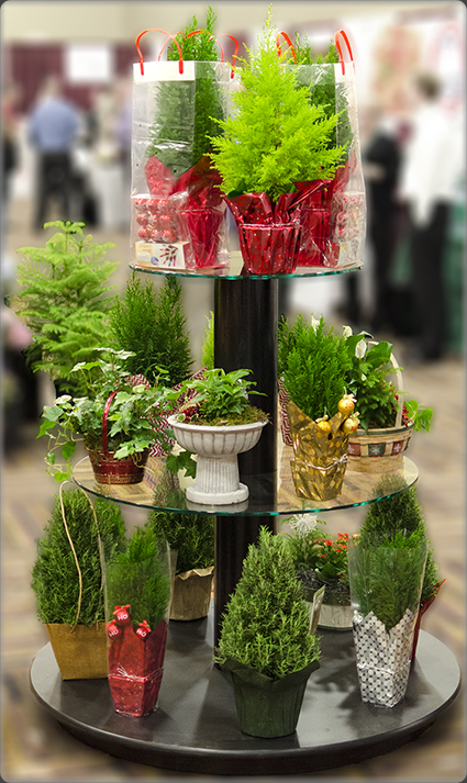 Plant Display