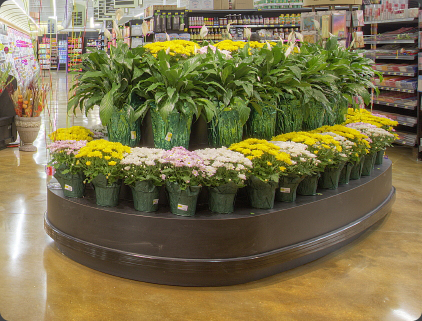 Floral Island Display
