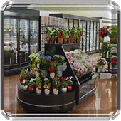 floral display fixture