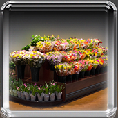 floral department