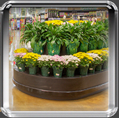 Flower Display