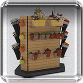 Plant Display